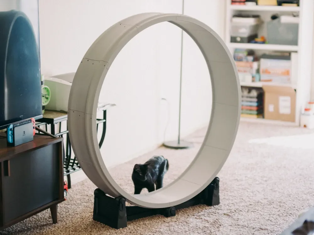 Creator design reference for Cat Exercise Wheel — Complete 83-Piece Printed Kit; included printed parts are specified in the listing.
